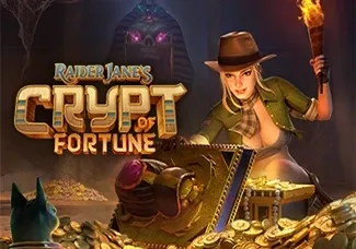 Raider Jane's Crypt of Fortune game thumbnail