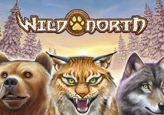 Wild North